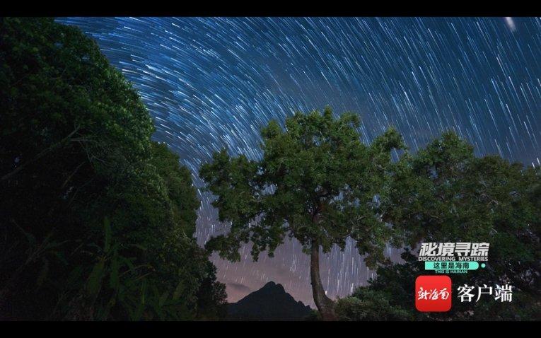 花瓶粉碎者